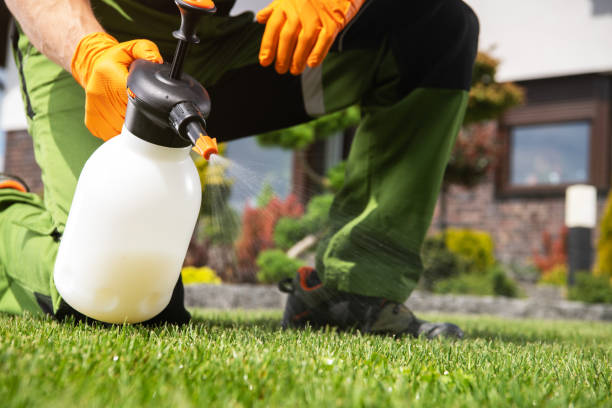 Best Bed Bug Extermination  in Dos Palos, CA