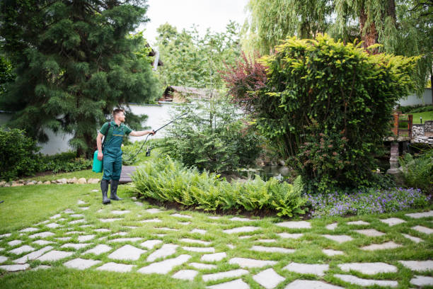 Best Pest Inspection Near Me  in Dos Palos, CA