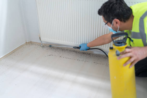 Best Best Pest Control Companies  in Dos Palos, CA